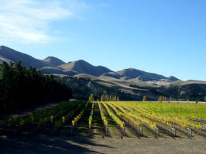 The wine region just north of Christchurch that still feels like a local secret.