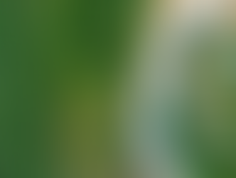 A Minister’s duty to future adults about the environment