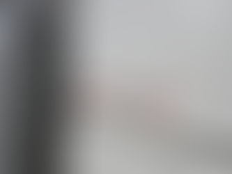 Declaring Energy Independence: A Fourth of July Showcase at Drinkall Performance Horses