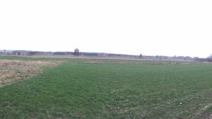 Visitor Survivors in Museums