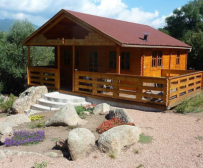 WhatsApp Image 2025-09-16 at 23.05.19_e2a0a1d1.jpg