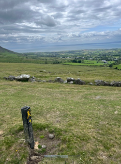 View of Dundalk Bay from the Táin Way, Glenmore.