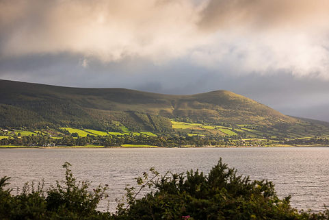 Carlingford_Web Size.jpg