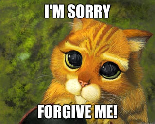Do you suffer from "over-apologetic disorder"?