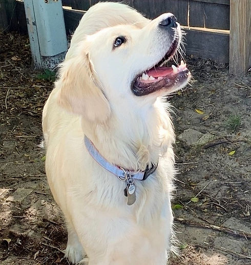 abby 9-2022 2_edited_edited_edited_edited_edited.jpg