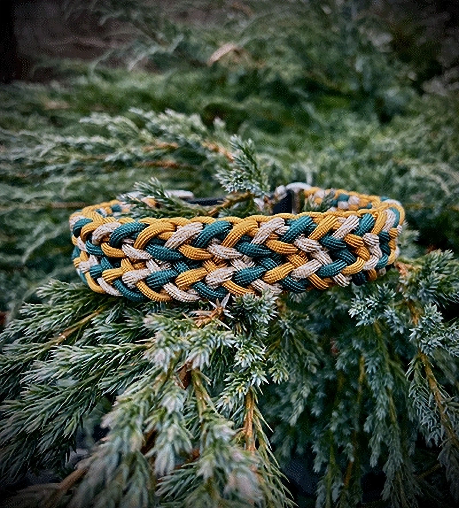 Corebind – Funktionelles Paracord-Halsband mit Struktur