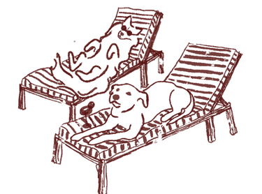 Untitled_Artwork (3)_edited.png