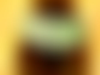 再会 <6> 違いを知り、追求するという楽しさ