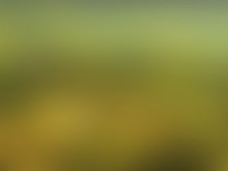 栄光は霧の中 <ピエモンテ・ネッビオーロ特集:序章>