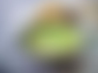 ペアリングの実践 <4>