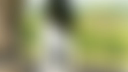 出会い <105> ハプスブルクの残響