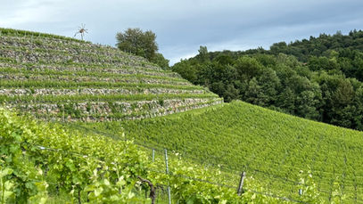 美の真理 <オーストリア・シュタイヤーマルク特集:Part.1>