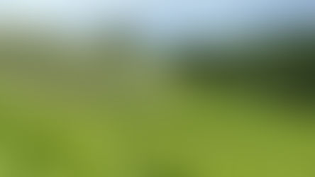 美の真理 <オーストリア・シュタイヤーマルク特集:Part.1>