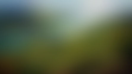 問われる真価 <オーストリア・カンプタール特集>