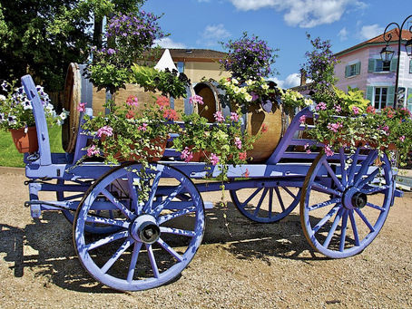 偉大なるボジョレー <ボジョレー特集前編>