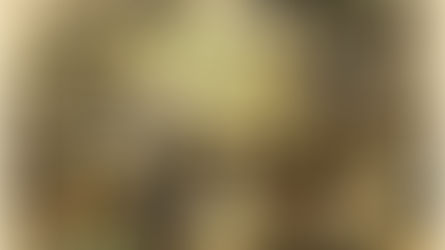 SNSを荒らした、自然派を「装った」ワインとは