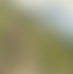 ナチュラルワイン：その自由は、どこで育ったか（期間限定無料公開）