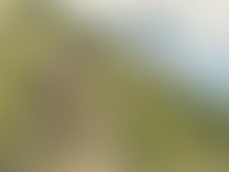 ナチュラルワイン：その自由は、どこで育ったか（期間限定無料公開）