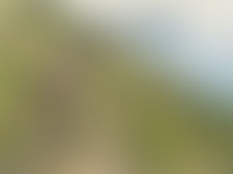 ナチュラルワイン：その自由は、どこで育ったか（期間限定無料公開）