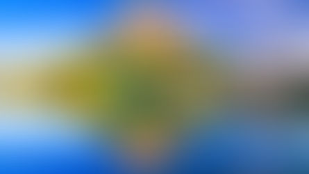 特異点の完全性 <オーストリア・ヴァッハウ特集前編>