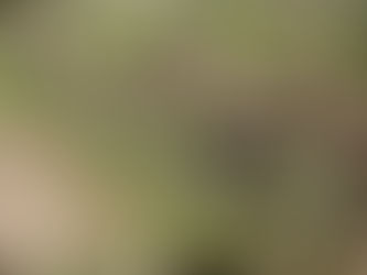 未来からの預かりもの <南アフリカ特集:第4章>