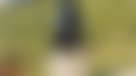 出会い <104> オーストリアの本命ピノ・ノワール