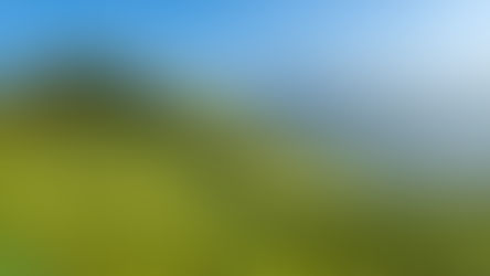 その畑には、奇跡が宿る <オーストリア・ヴァッハウ特集後編>