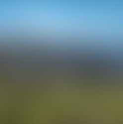 SommeTimes’ Académie <137>(イタリア・ラツィオ州2: Frascati)