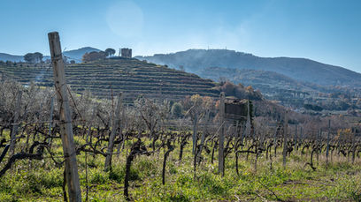 SommeTimes’ Académie <137>(イタリア・ラツィオ州2: Frascati)