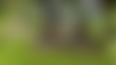 感性の世界 <オーストリア・シュタイヤーマルク特集:Part.2>