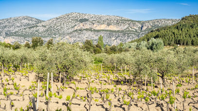 SommeTimes’ Académie <128>（イタリア・サルデーニャ州： Part.2）