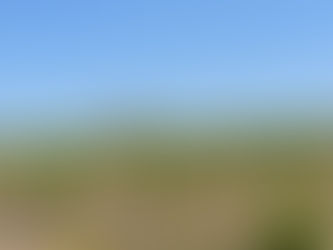 別色の未来 <南アフリカ特集:最終章>