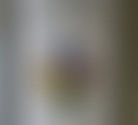 再会 <72> カジュアルフレンチの救世主