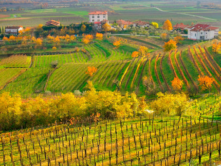 SommeTimes’ Académie <126>(イタリア・フリウリ州: Part.2)