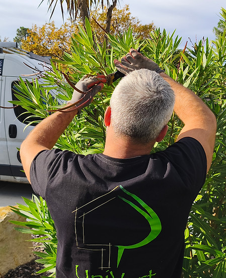 un paysagiste coupe les branche morte lors d'un entretien de jardin