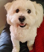 Charlie