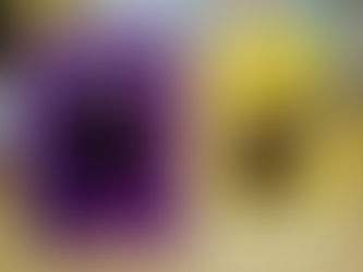 電動ミニポンプ2種類あります☆