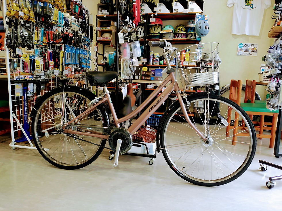 ブリヂストンサイクル アルベルト