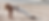 1S0A7929c_edited.png