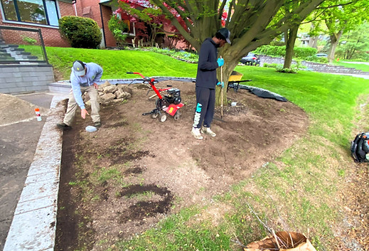 MMC Lawn Care, Affordable lawn care Etobicoke