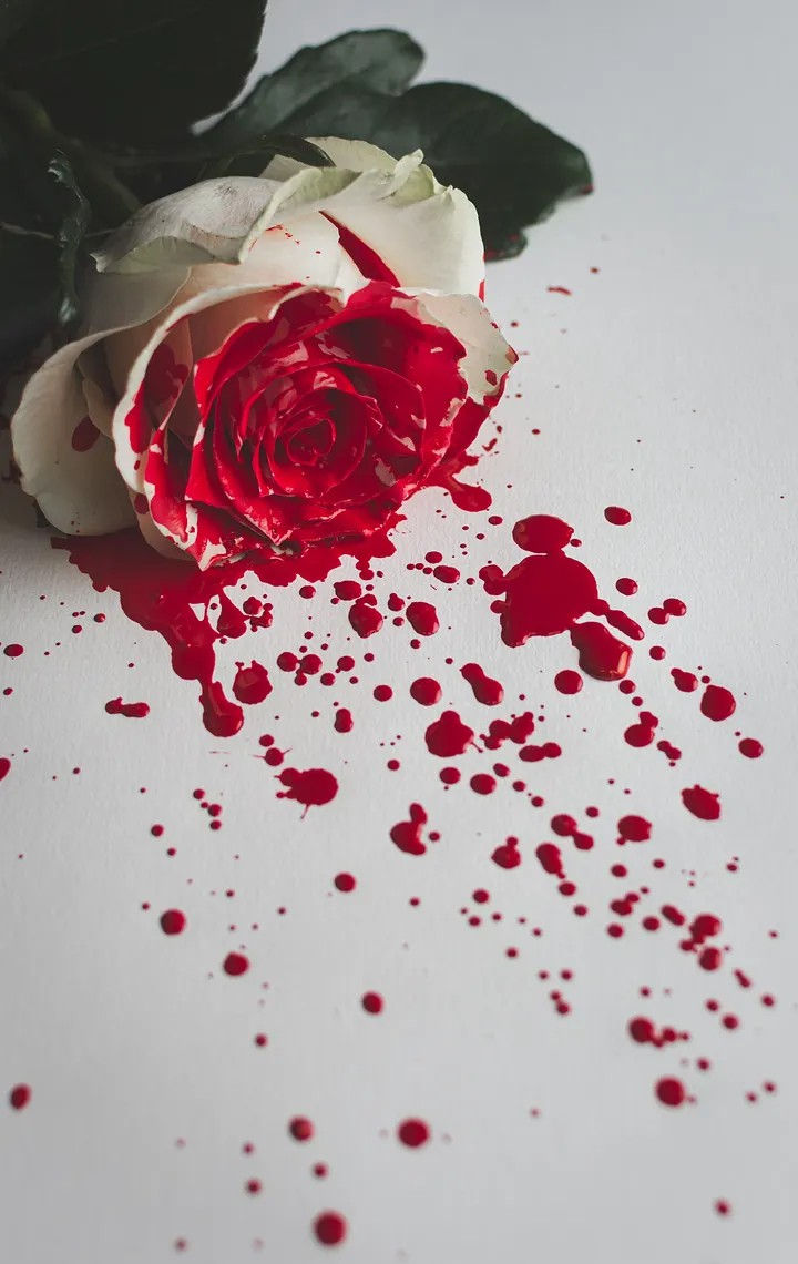 Alexandre Boucey