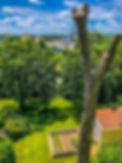 9290E879-81AA-4345-B8FD-D008A9152AB6.jpeg