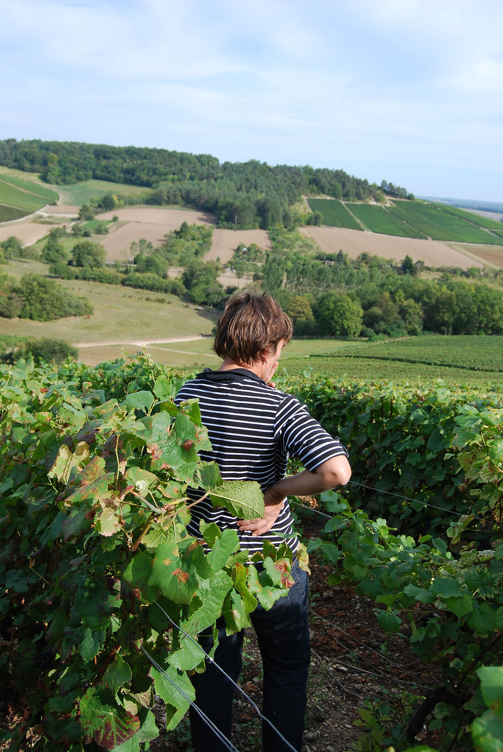 Patricia dans le vignoble