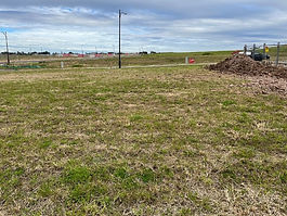 Picture5.jpg