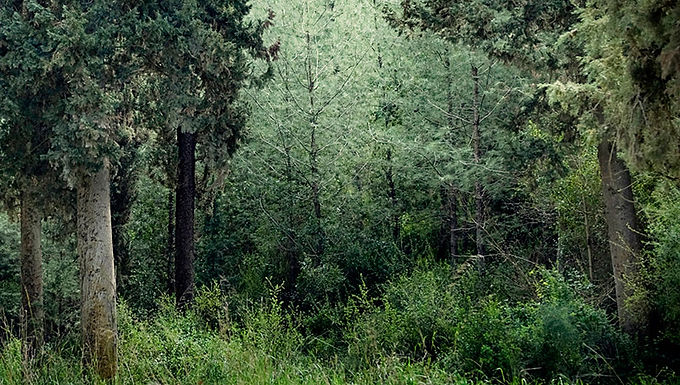 Experiencing God's Peace in the Midst of Uncertainty