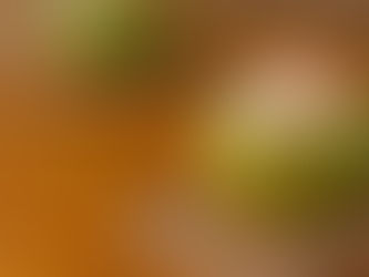 How to Get 5-Star Reviews from Your Villa Guests: The Pulau Way