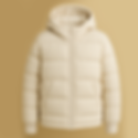 ダウンウェア.png