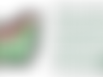 Stories from the Canopy: Rudy and the Sun Bears