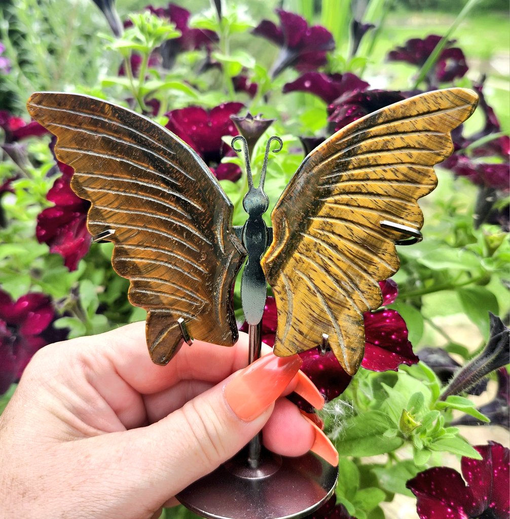 Tigers Eye Butterfly Wings 