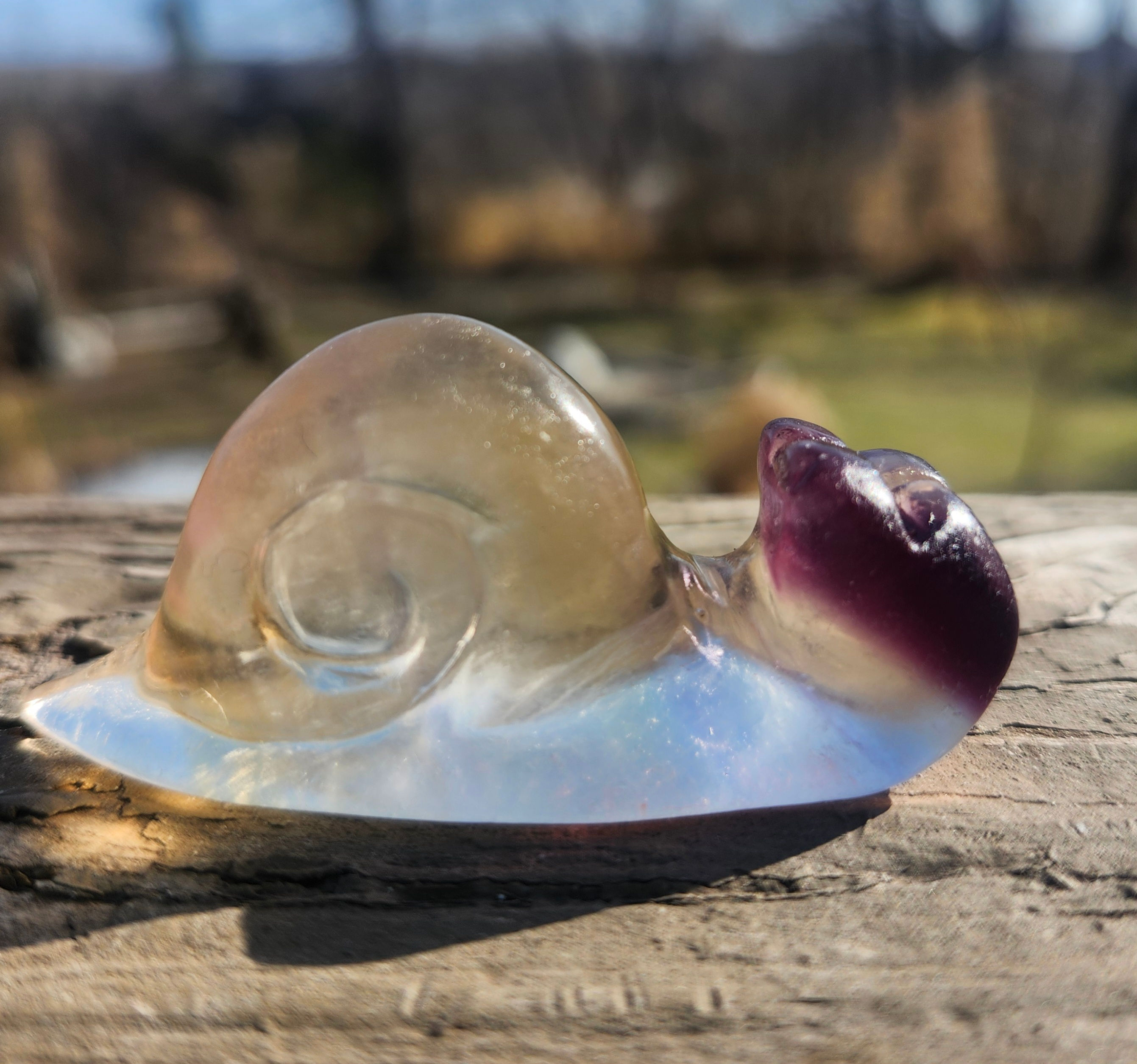 Clear & Purple Fluorite Snail